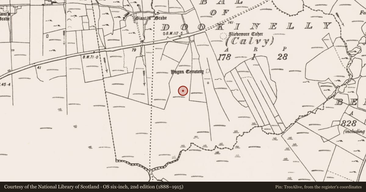 Ordnance Survey six-inch map, 2nd edition (1888–1915) covering the location of Megalithic tomb - unclassified, Bal of Dookinelly (Calvy), County Mayo, with a pin at the register's coordinates