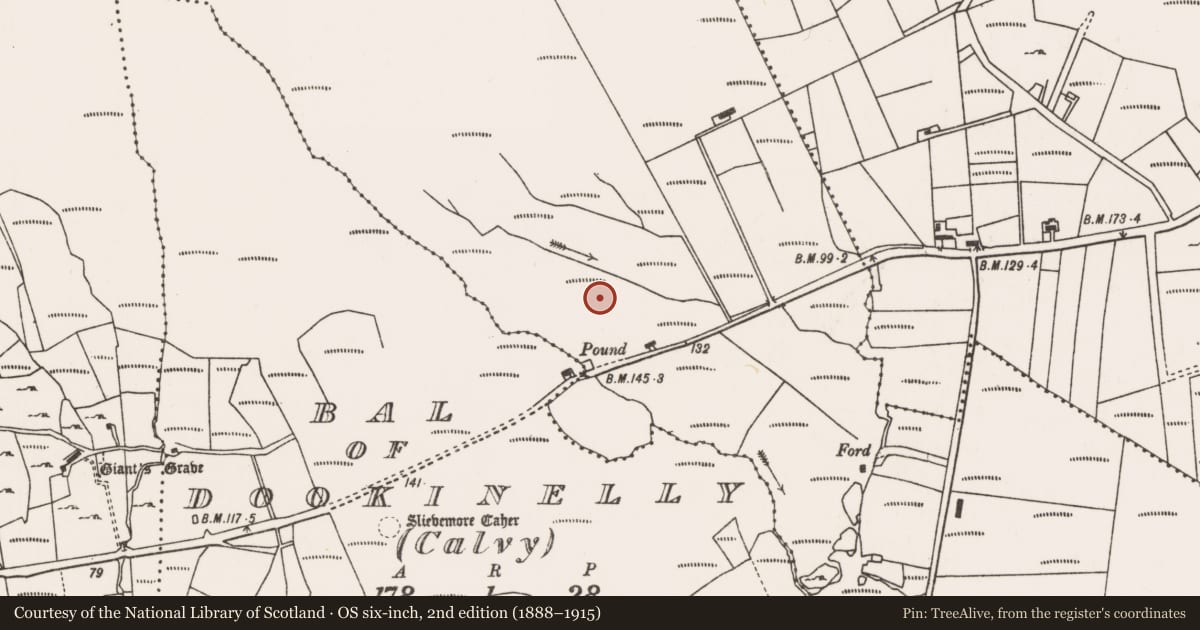 Ordnance Survey six-inch map, 2nd edition (1888–1915) covering the location of Cist, Bellanasally, County Mayo, with a pin at the register's coordinates