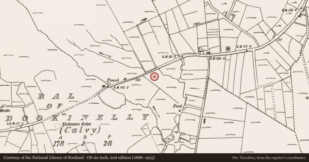 Ordnance Survey six-inch map, 2nd edition (1888–1915) covering the location of Enclosure, Bellanasally, County Mayo, with a pin at the register's coordinates