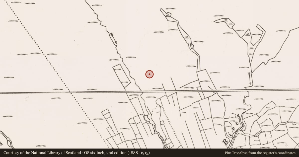 Ordnance Survey six-inch map, 2nd edition (1888–1915) covering the location of Field boundary, Slievemore, County Mayo, with a pin at the register's coordinates