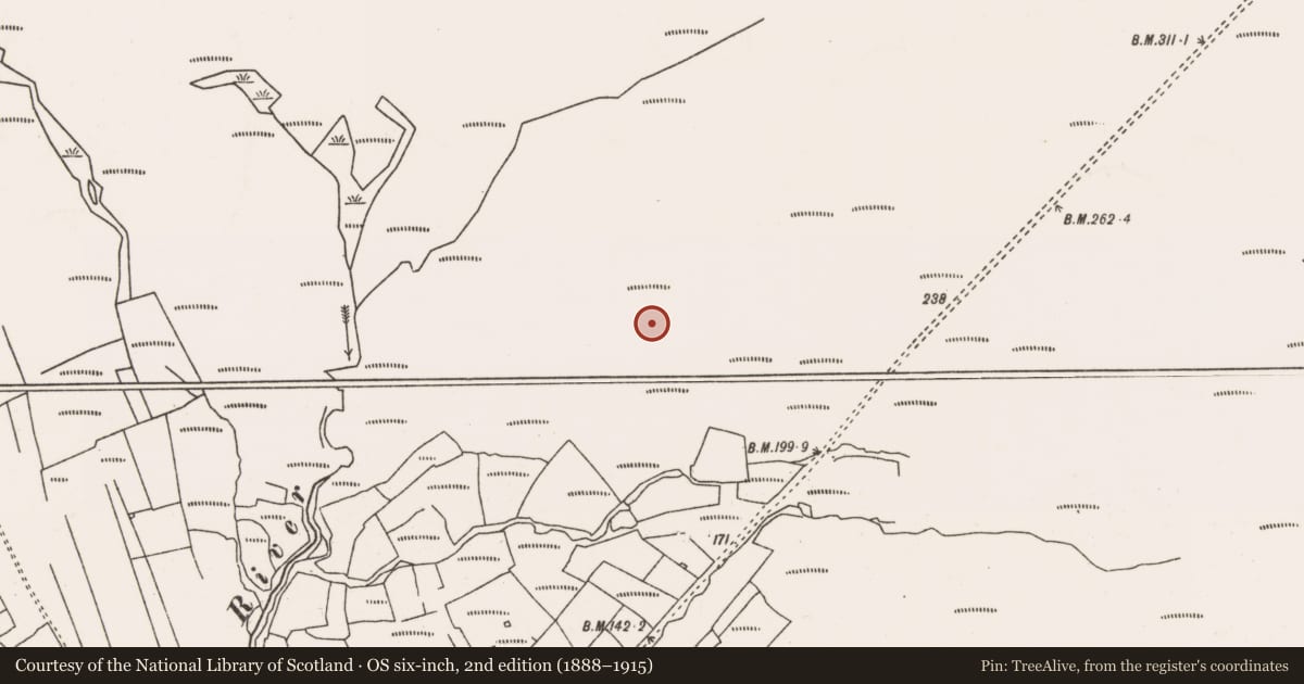 Ordnance Survey six-inch map, 2nd edition (1888–1915) covering the location of Structure, Slievemore, County Mayo, with a pin at the register's coordinates