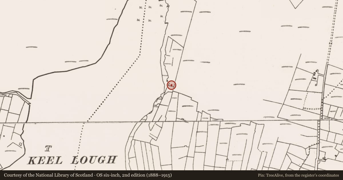 Ordnance Survey six-inch map, 2nd edition (1888–1915) covering the location of Enclosure, Bellanasally, County Mayo, with a pin at the register's coordinates