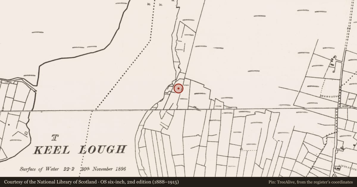 Ordnance Survey six-inch map, 2nd edition (1888–1915) covering the location of Enclosure, Bellanasally, County Mayo, with a pin at the register's coordinates