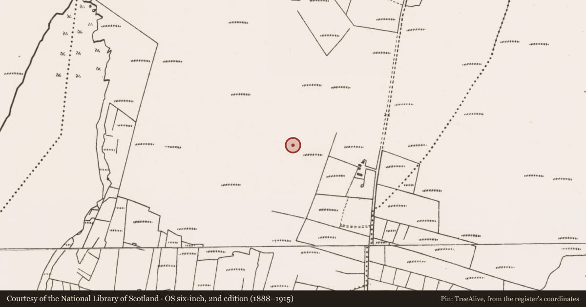 Ordnance Survey six-inch map, 2nd edition (1888–1915) covering the location of House - indeterminate date, Bellanasally, County Mayo, with a pin at the register's coordinates
