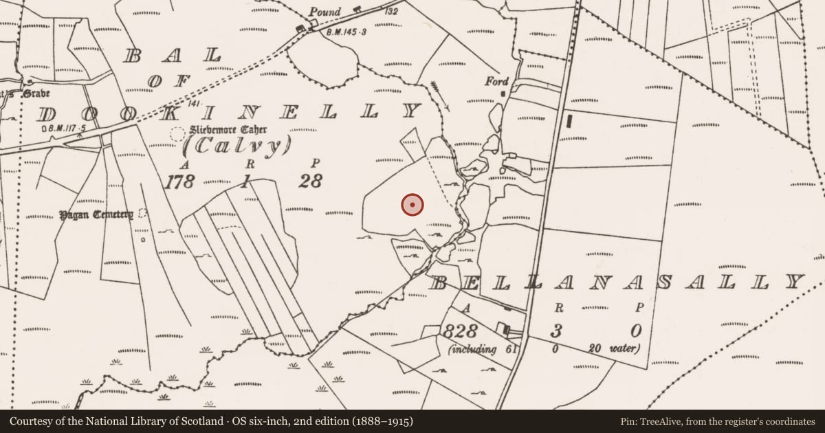 Ordnance Survey six-inch map, 2nd edition (1888–1915) covering the location of Field boundary, Bal of Dookinelly (Calvy), County Mayo, with a pin at the register's coordinates