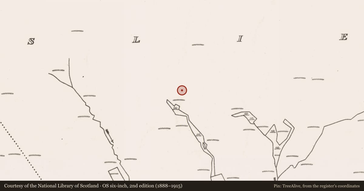 Ordnance Survey six-inch map, 2nd edition (1888–1915) covering the location of Cairn - unclassified, Slievemore, County Mayo, with a pin at the register's coordinates