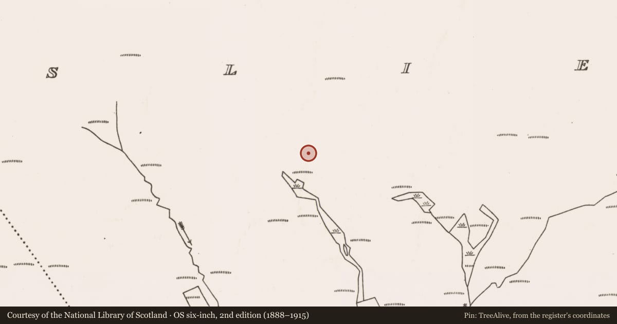 Ordnance Survey six-inch map, 2nd edition (1888–1915) covering the location of Enclosure, Slievemore, County Mayo, with a pin at the register's coordinates