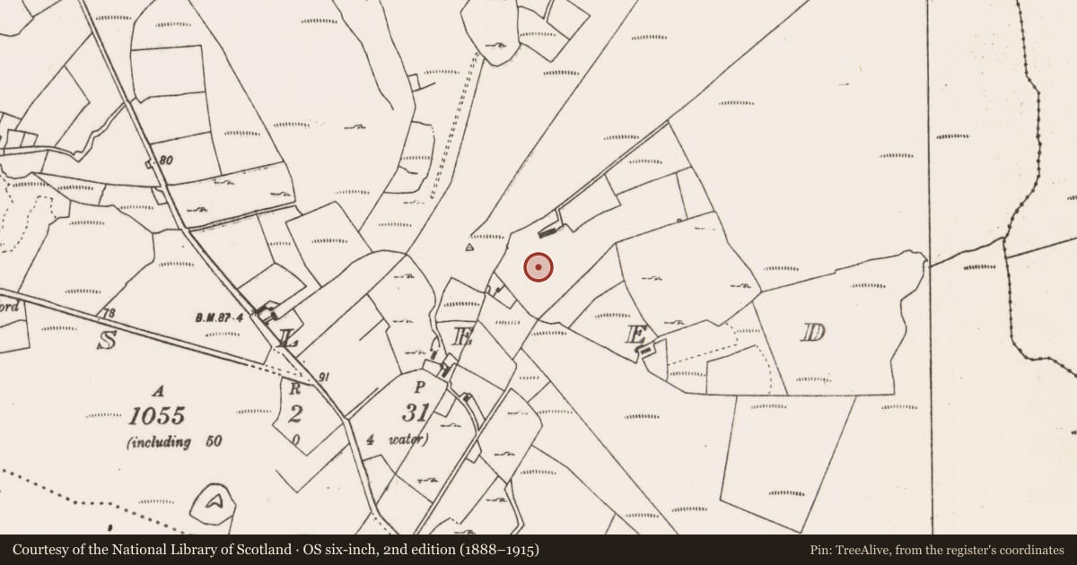 Ordnance Survey six-inch map, 2nd edition (1888–1915) covering the location of Megalithic tomb - unclassified, Drumsleed, County Mayo, with a pin at the register's coordinates