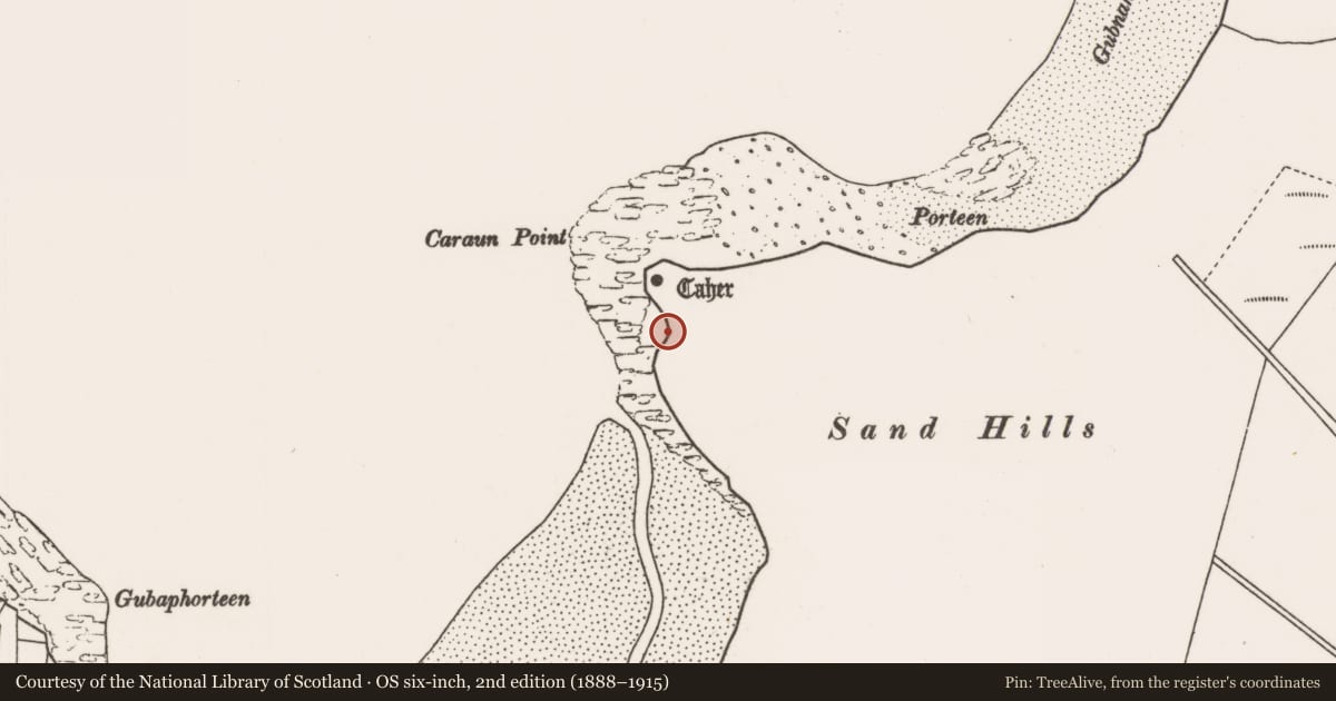 Ordnance Survey six-inch map, 2nd edition (1888–1915) covering the location of Building, Tóin An Tseanbhaile, County Mayo, with a pin at the register's coordinates