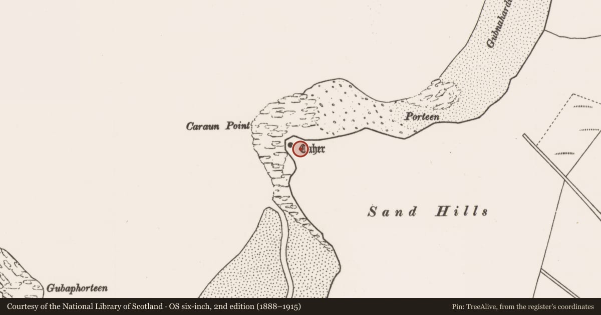 Ordnance Survey six-inch map, 2nd edition (1888–1915) covering the location of Midden, Tóin An Tseanbhaile, County Mayo, with a pin at the register's coordinates