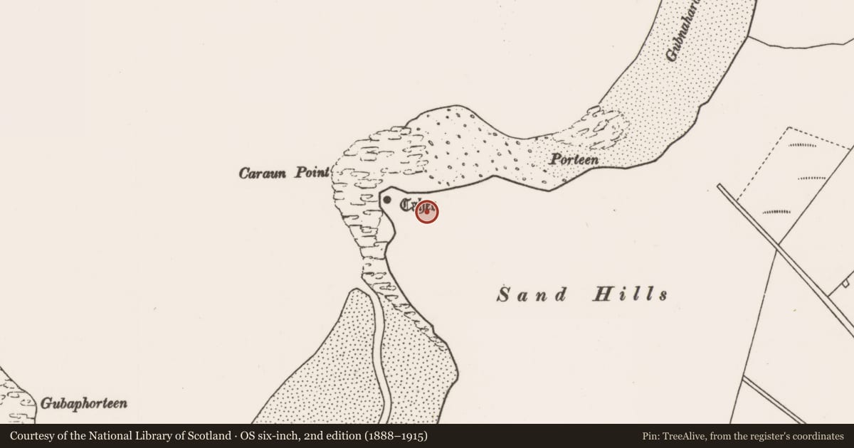 Ordnance Survey six-inch map, 2nd edition (1888–1915) covering the location of Midden, Tóin An Tseanbhaile, County Mayo, with a pin at the register's coordinates