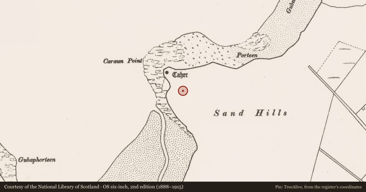 Ordnance Survey six-inch map, 2nd edition (1888–1915) covering the location of Midden, Tóin An Tseanbhaile, County Mayo, with a pin at the register's coordinates
