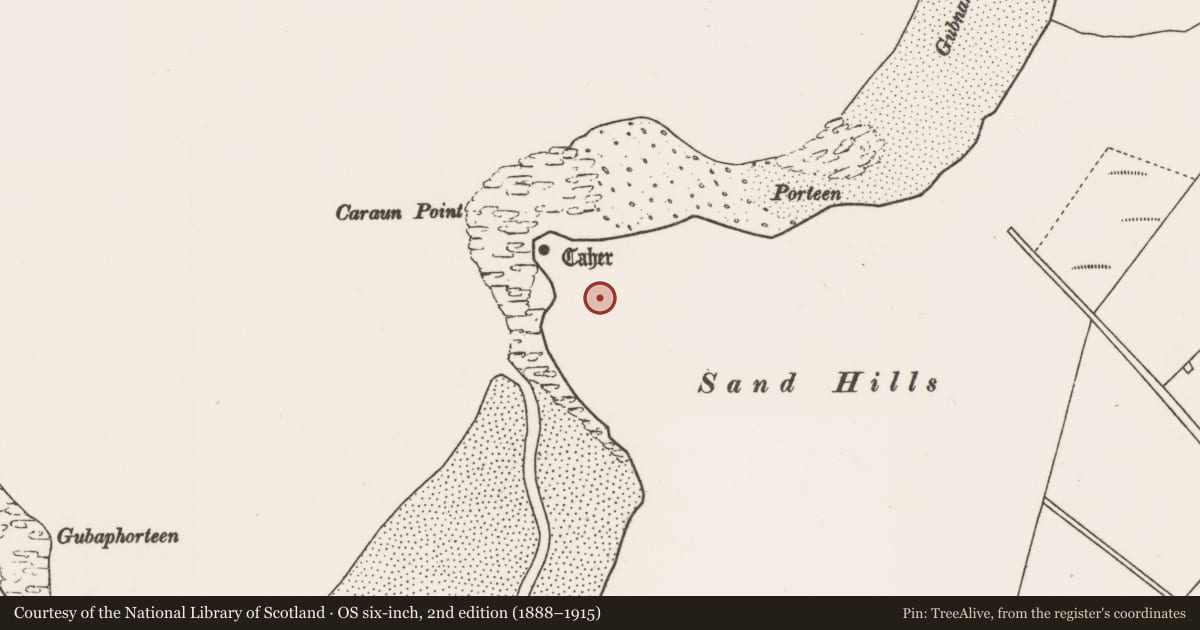 Ordnance Survey six-inch map, 2nd edition (1888–1915) covering the location of Structure, Tóin An Tseanbhaile, County Mayo, with a pin at the register's coordinates