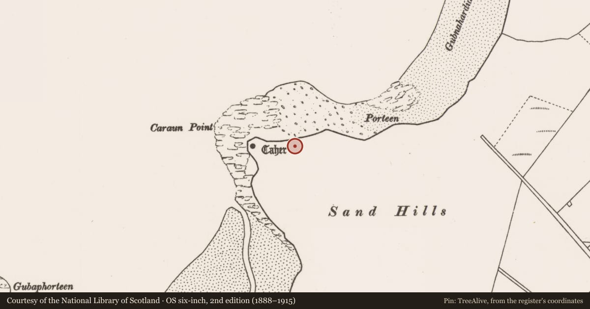 Ordnance Survey six-inch map, 2nd edition (1888–1915) covering the location of Midden, Tóin An Tseanbhaile, County Mayo, with a pin at the register's coordinates