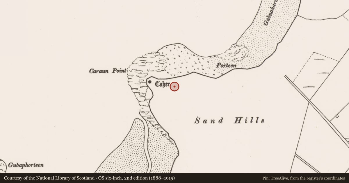 Ordnance Survey six-inch map, 2nd edition (1888–1915) covering the location of Structure, Tóin An Tseanbhaile, County Mayo, with a pin at the register's coordinates