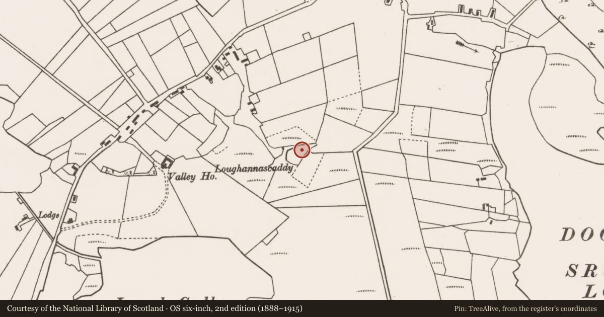 Ordnance Survey six-inch map, 2nd edition (1888–1915) covering the location of Crannog, Tóin An Tseanbhaile, County Mayo, with a pin at the register's coordinates