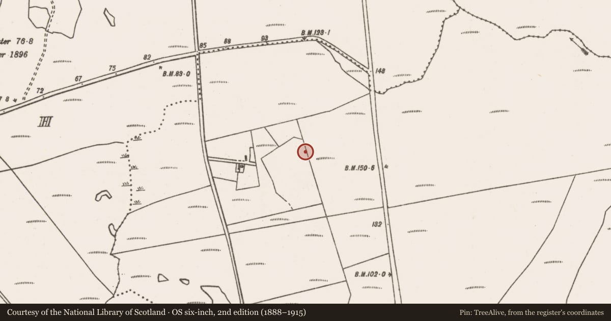 Ordnance Survey six-inch map, 2nd edition (1888–1915) covering the location of Megalithic tomb - wedge tomb, Lettera, County Mayo, with a pin at the register's coordinates