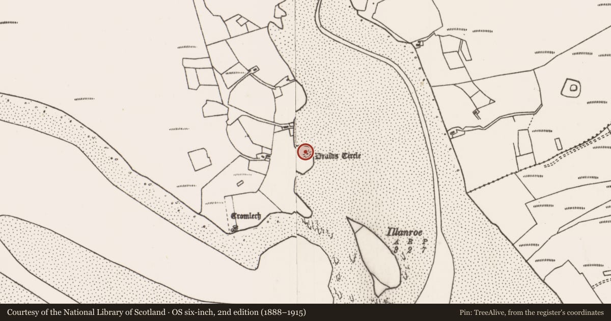 Ordnance Survey six-inch map, 2nd edition (1888–1915) covering the location of Ringfort - rath, Talach, County Mayo, with a pin at the register's coordinates