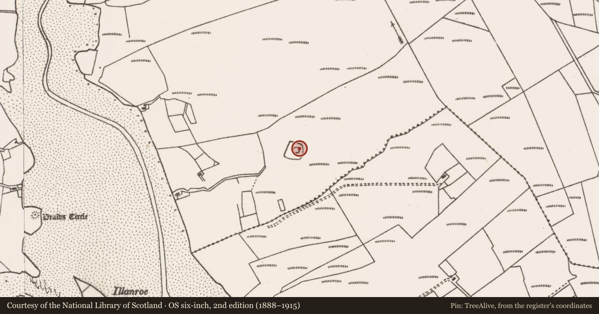 Ordnance Survey six-inch map, 2nd edition (1888–1915) covering the location of Crannog, Talach, County Mayo, with a pin at the register's coordinates