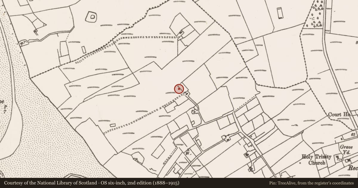 Ordnance Survey six-inch map, 2nd edition (1888–1915) covering the location of Megalithic tomb - wedge tomb, Castlehill, County Mayo, with a pin at the register's coordinates