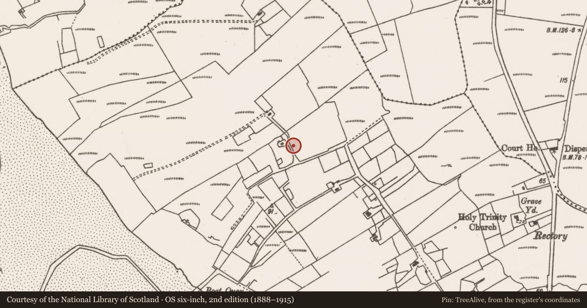 Ordnance Survey six-inch map, 2nd edition (1888–1915) covering the location of Megalithic tomb - wedge tomb, Castlehill, County Mayo, with a pin at the register's coordinates