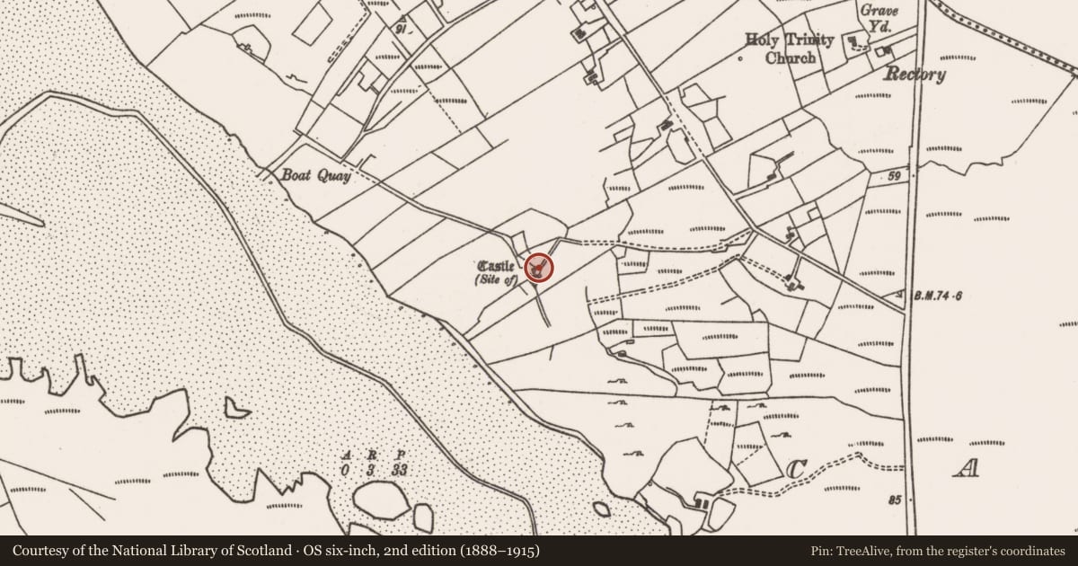 Ordnance Survey six-inch map, 2nd edition (1888–1915) covering the location of Castle - unclassified, Castlehill, County Mayo, with a pin at the register's coordinates