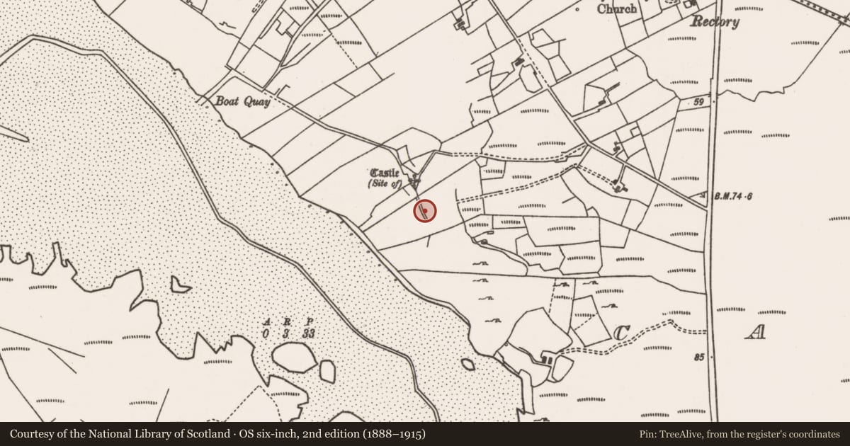 Ordnance Survey six-inch map, 2nd edition (1888–1915) covering the location of Cross-inscribed pillar, Castlehill, County Mayo, with a pin at the register's coordinates