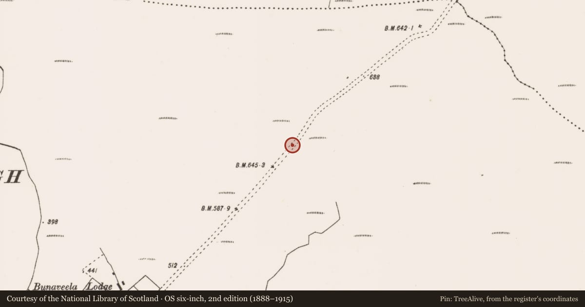 Ordnance Survey six-inch map, 2nd edition (1888–1915) covering the location of Road - road/trackway, County Mayo, with a pin at the register's coordinates