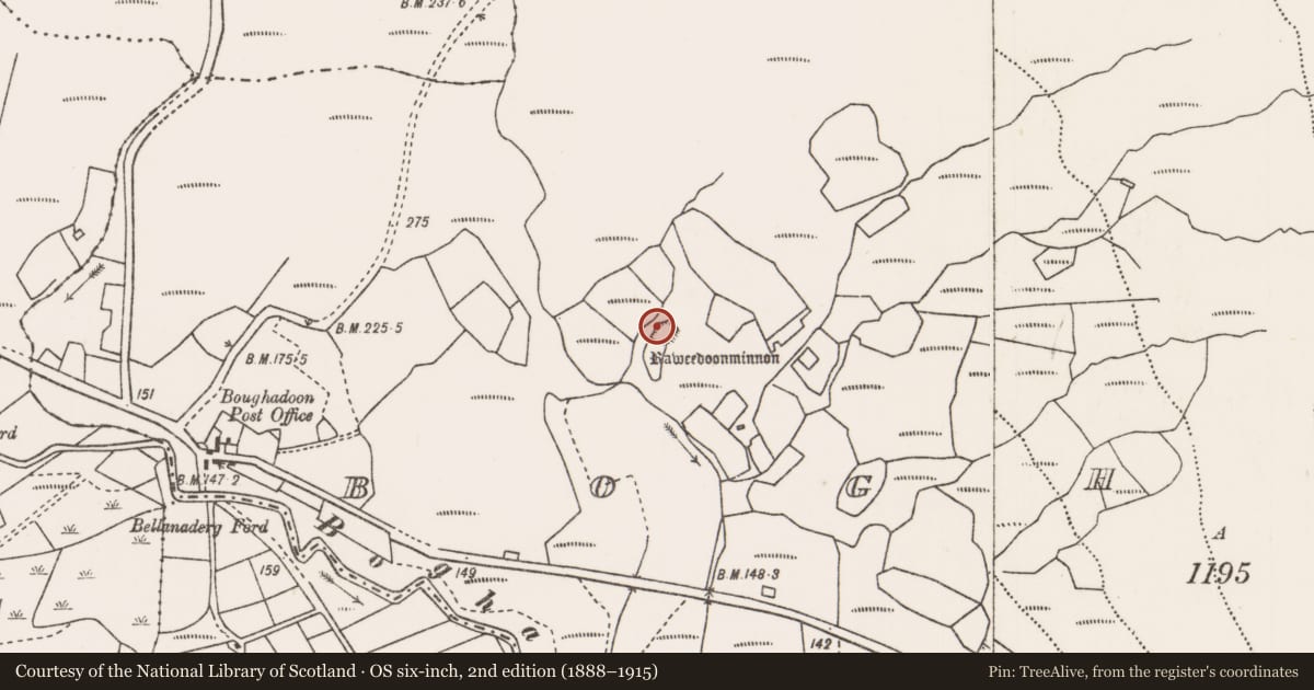 Ordnance Survey six-inch map, 2nd edition (1888–1915) covering the location of Ringfort - rath, Boghadoon, County Mayo, with a pin at the register's coordinates