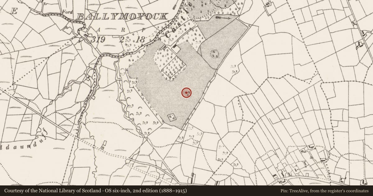 Ordnance Survey six-inch map, 2nd edition (1888–1915) covering the location of Ringfort - rath, Carrowkeel (Tirawley By., Addergoole Par.), County Mayo, with a pin at the register's coordinates