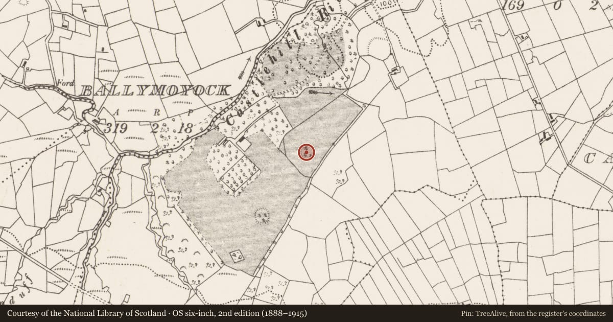 Ordnance Survey six-inch map, 2nd edition (1888–1915) covering the location of Enclosure, Carrowkeel (Tirawley By., Addergoole Par.), County Mayo, with a pin at the register's coordinates