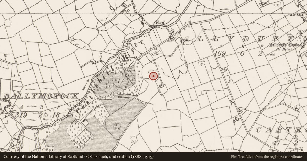 Ordnance Survey six-inch map, 2nd edition (1888–1915) covering the location of Ringfort - rath, Carrowkeel (Tirawley By., Addergoole Par.), County Mayo, with a pin at the register's coordinates