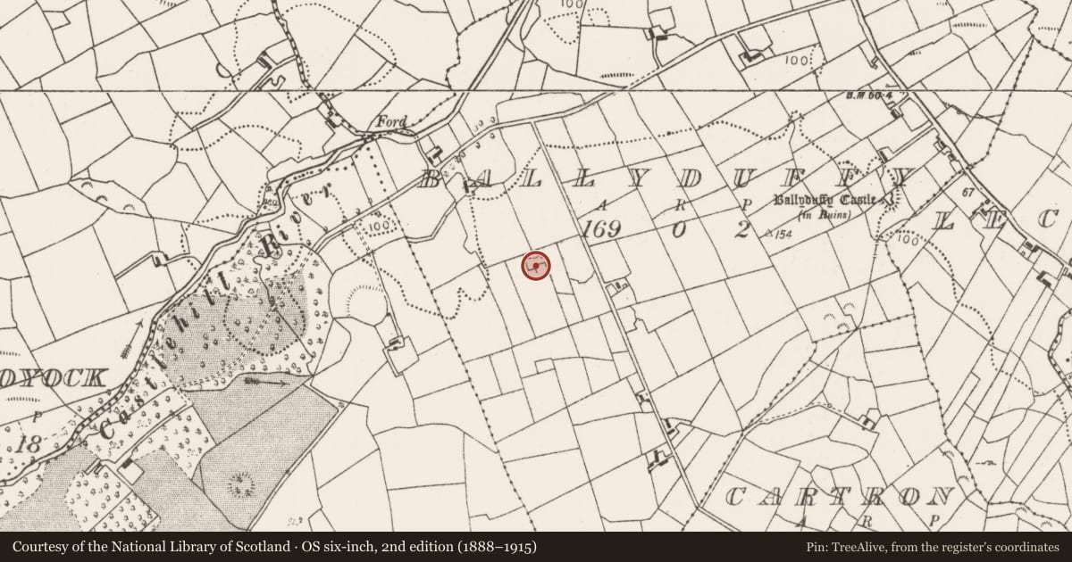 Ordnance Survey six-inch map, 2nd edition (1888–1915) covering the location of Megalithic tomb - court tomb, Ballyduffy, County Mayo, with a pin at the register's coordinates