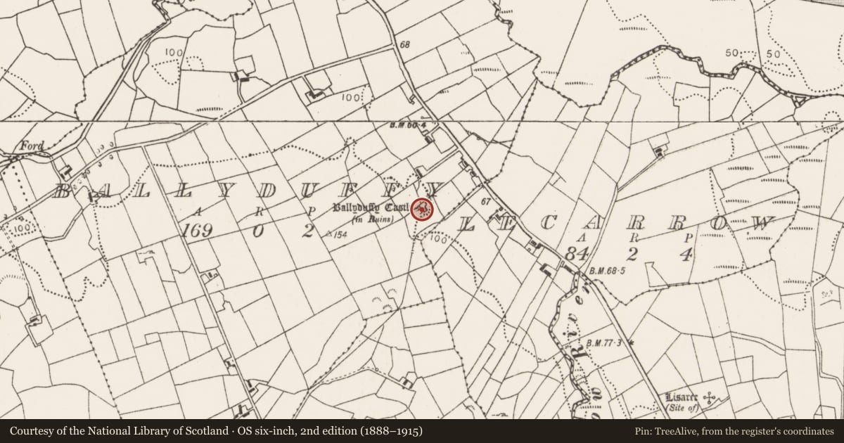 Ordnance Survey six-inch map, 2nd edition (1888–1915) covering the location of Castle - unclassified, Ballyduffy, County Mayo, with a pin at the register's coordinates