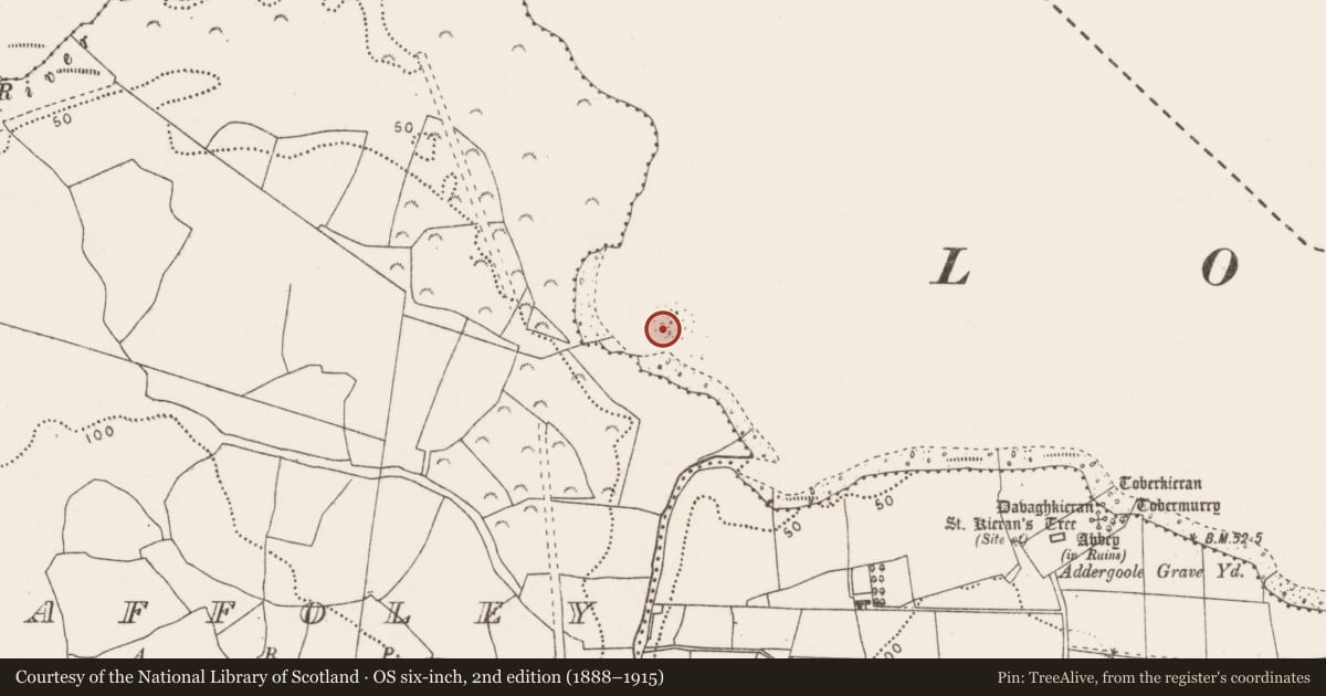 Ordnance Survey six-inch map, 2nd edition (1888–1915) covering the location of Crannog, Lough Conn, County Mayo, with a pin at the register's coordinates
