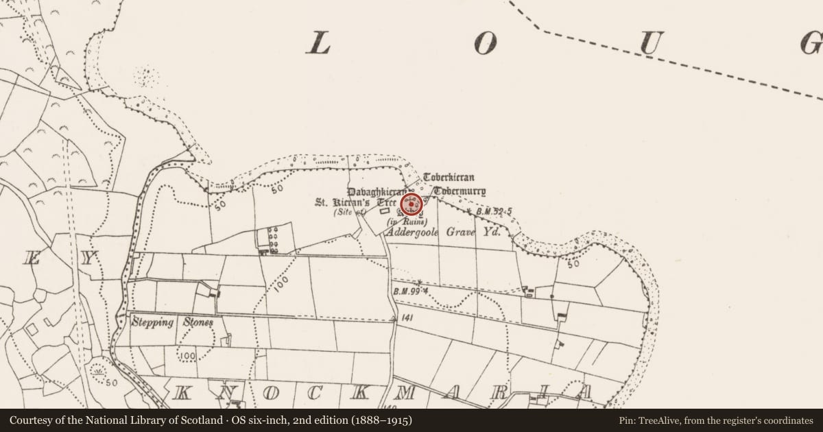 Ordnance Survey six-inch map, 2nd edition (1888–1915) covering the location of Cross, Knockmaria Or Addergoole, County Mayo, with a pin at the register's coordinates