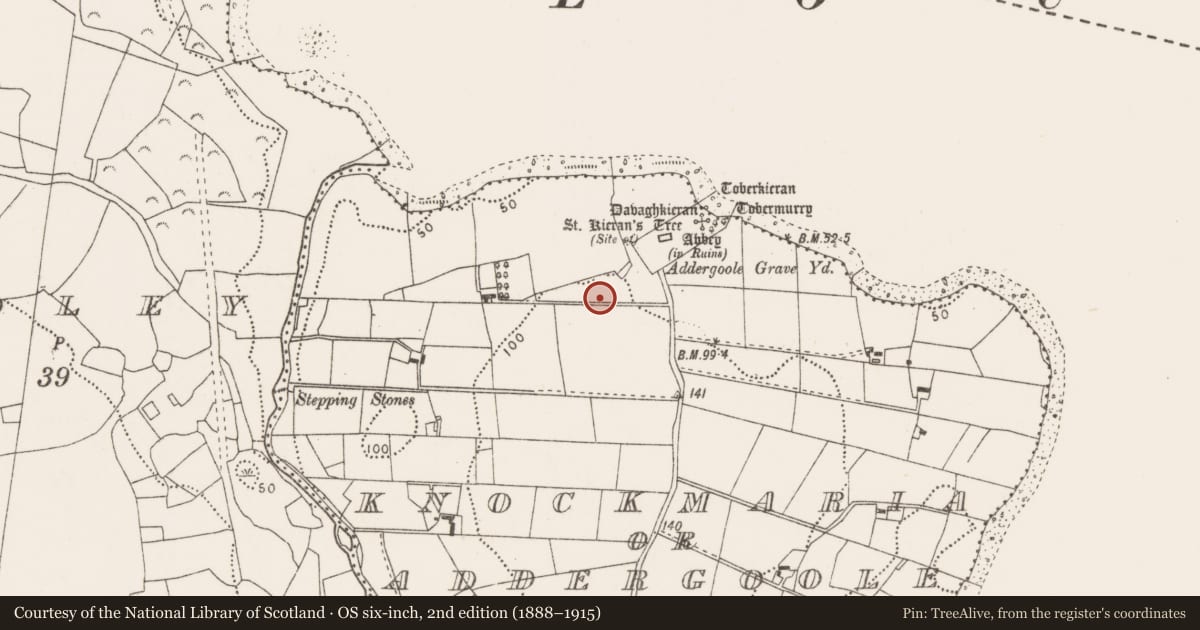 Ordnance Survey six-inch map, 2nd edition (1888–1915) covering the location of Enclosure, Knockmaria Or Addergoole, County Mayo, with a pin at the register's coordinates