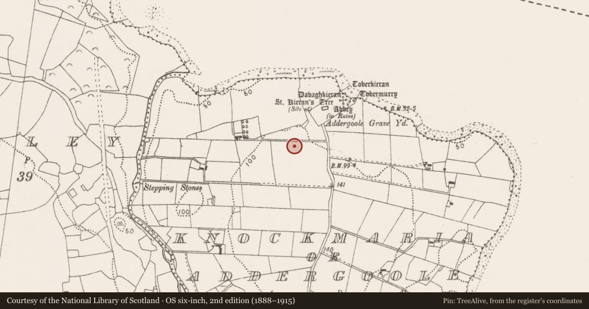 Ordnance Survey six-inch map, 2nd edition (1888–1915) covering the location of Souterrain, Knockmaria Or Addergoole, County Mayo, with a pin at the register's coordinates