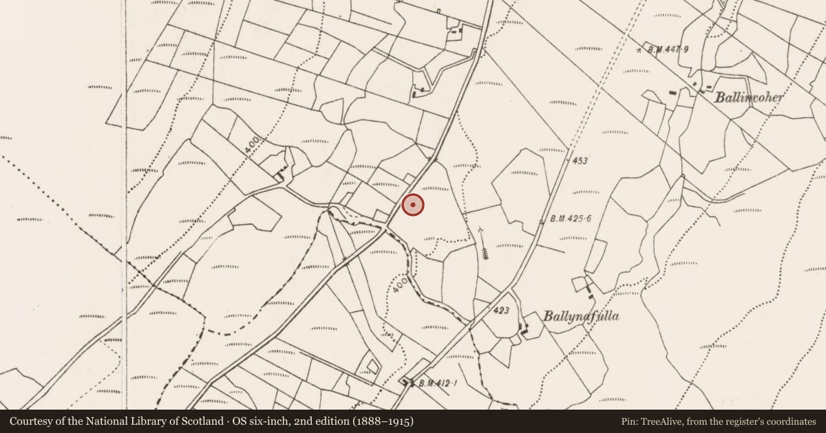 Ordnance Survey six-inch map, 2nd edition (1888–1915) covering the location of Standing stone - pair, Derryhillagh, County Mayo, with a pin at the register's coordinates