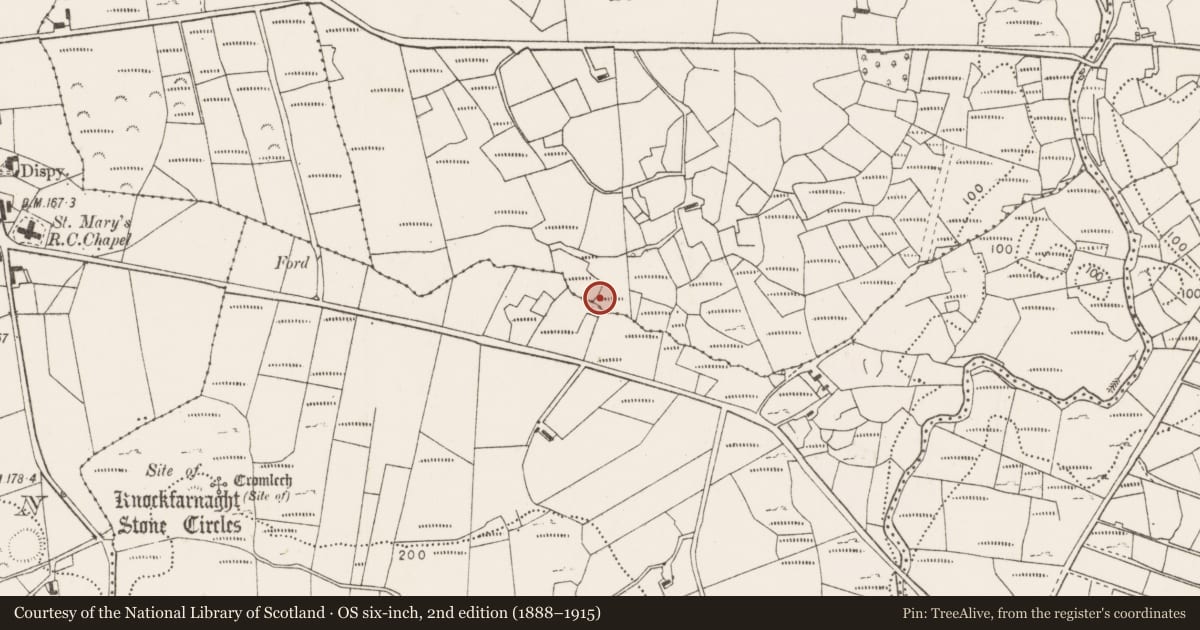 Ordnance Survey six-inch map, 2nd edition (1888–1915) covering the location of Enclosure, Caffoley, County Mayo, with a pin at the register's coordinates
