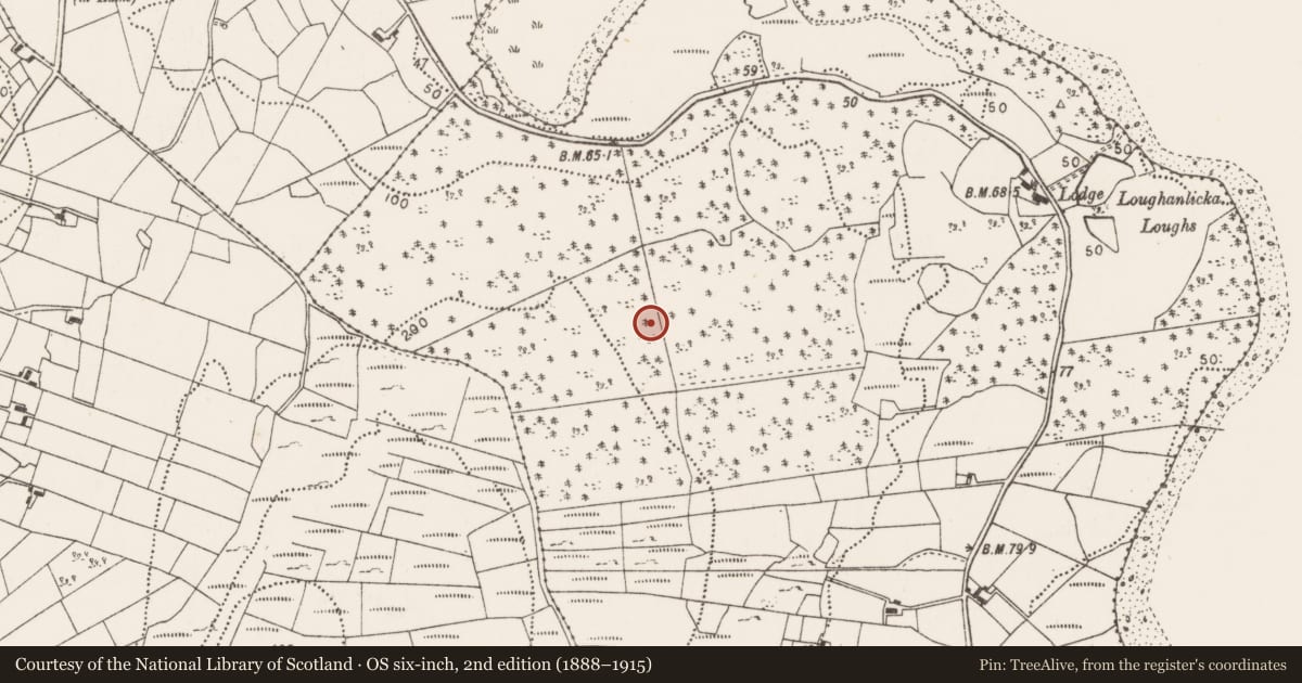 Ordnance Survey six-inch map, 2nd edition (1888–1915) covering the location of Enclosure, Cuilkillew, County Mayo, with a pin at the register's coordinates