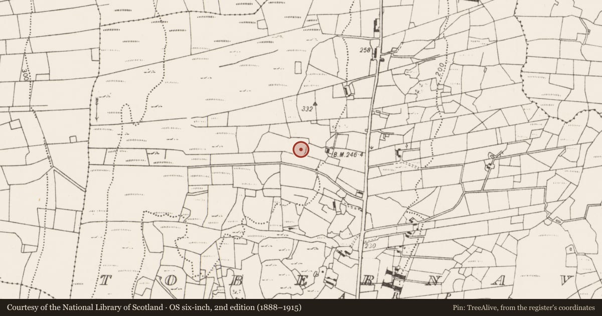Ordnance Survey six-inch map, 2nd edition (1888–1915) covering the location of Enclosure, Tobernaveen, County Mayo, with a pin at the register's coordinates