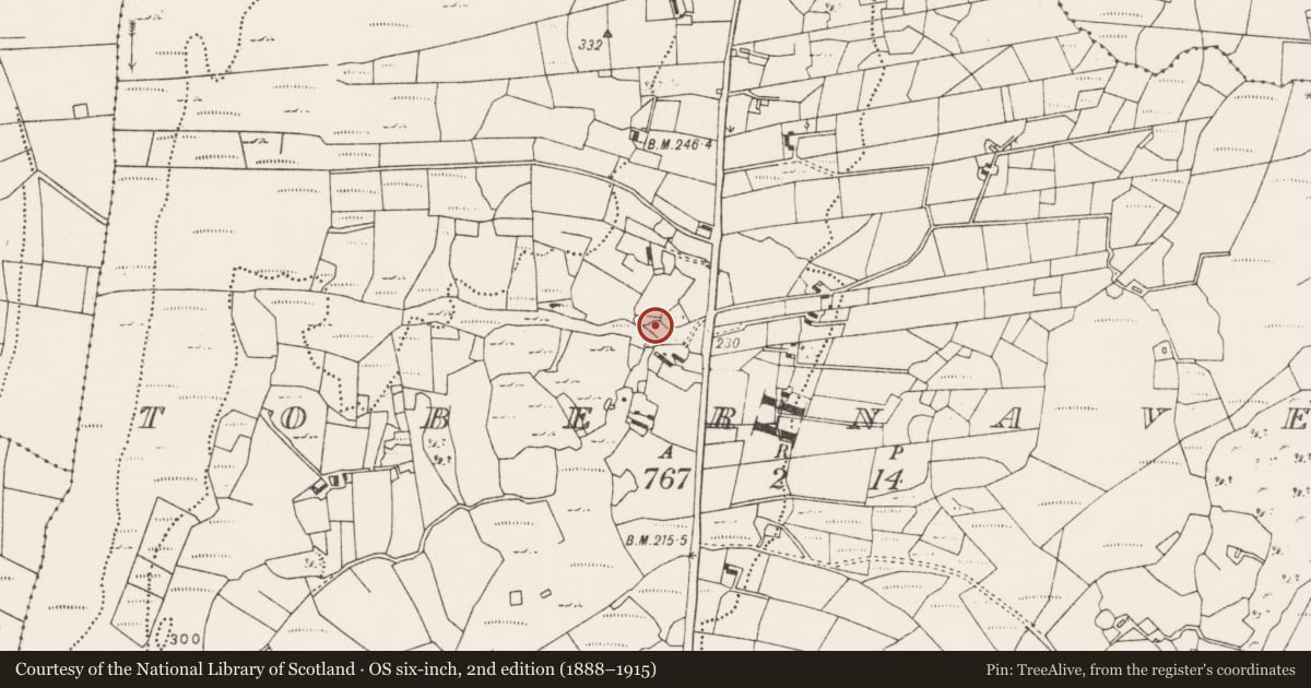 Ordnance Survey six-inch map, 2nd edition (1888–1915) covering the location of Enclosure, Tobernaveen, County Mayo, with a pin at the register's coordinates