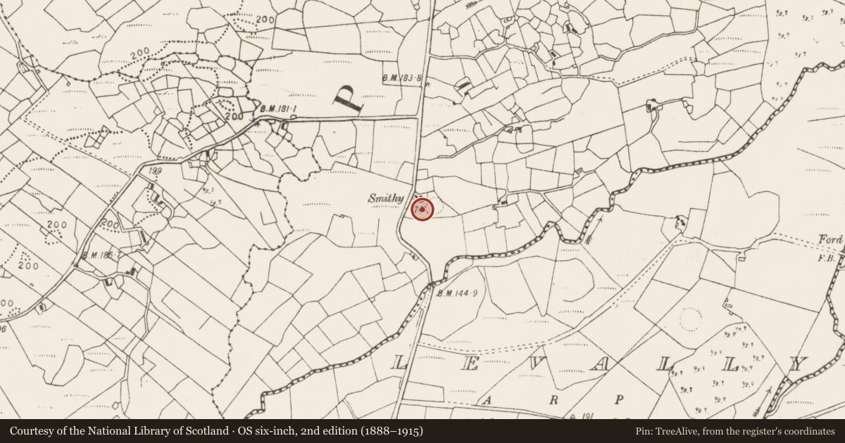 Ordnance Survey six-inch map, 2nd edition (1888–1915) covering the location of Barrow - embanked barrow, Tobernaveen, County Mayo, with a pin at the register's coordinates