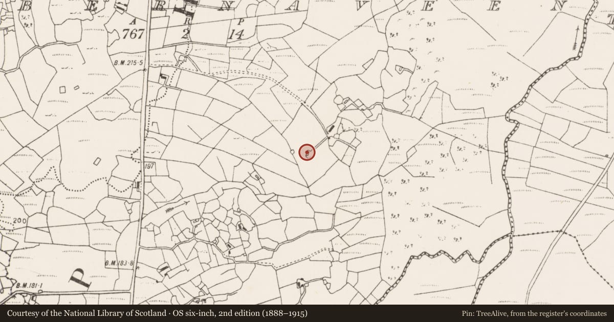 Ordnance Survey six-inch map, 2nd edition (1888–1915) covering the location of Enclosure, Tobernaveen, County Mayo, with a pin at the register's coordinates