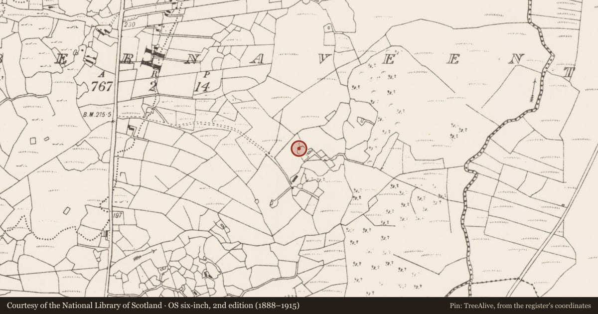 Ordnance Survey six-inch map, 2nd edition (1888–1915) covering the location of Ringfort - cashel, Tobernaveen, County Mayo, with a pin at the register's coordinates