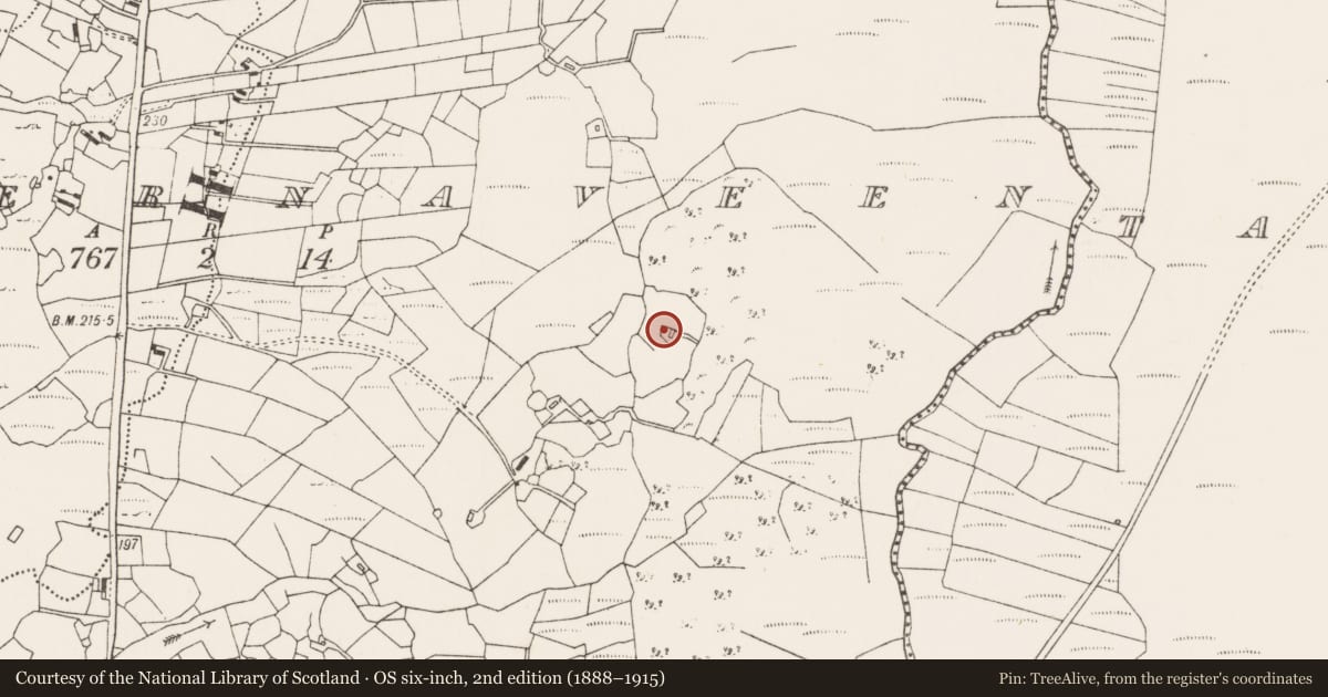 Ordnance Survey six-inch map, 2nd edition (1888–1915) covering the location of Enclosure, Tobernaveen, County Mayo, with a pin at the register's coordinates