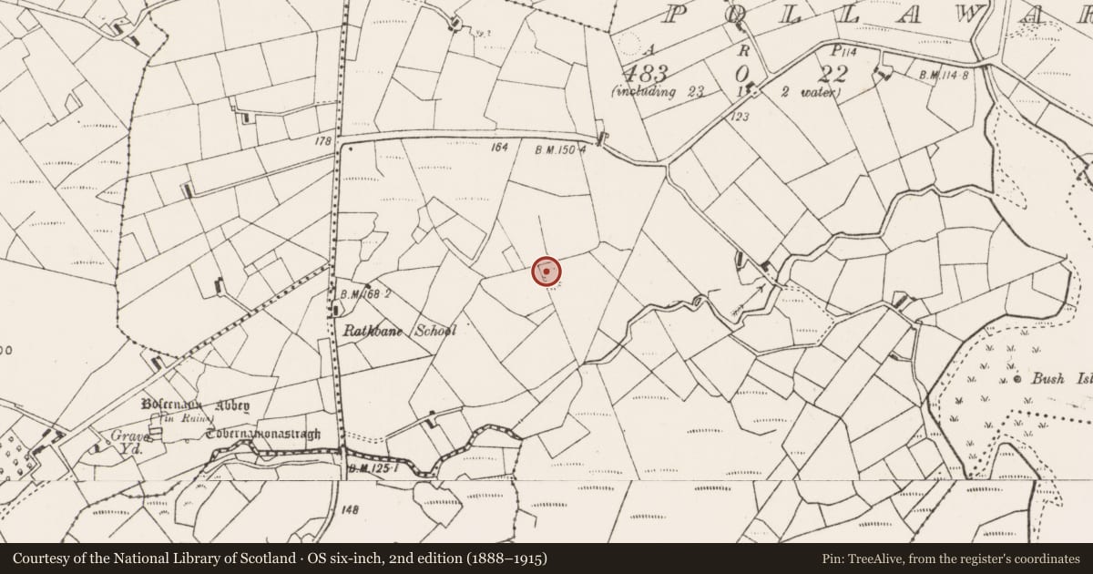 Ordnance Survey six-inch map, 2nd edition (1888–1915) covering the location of Ringfort - rath, Pollawarla, County Mayo, with a pin at the register's coordinates