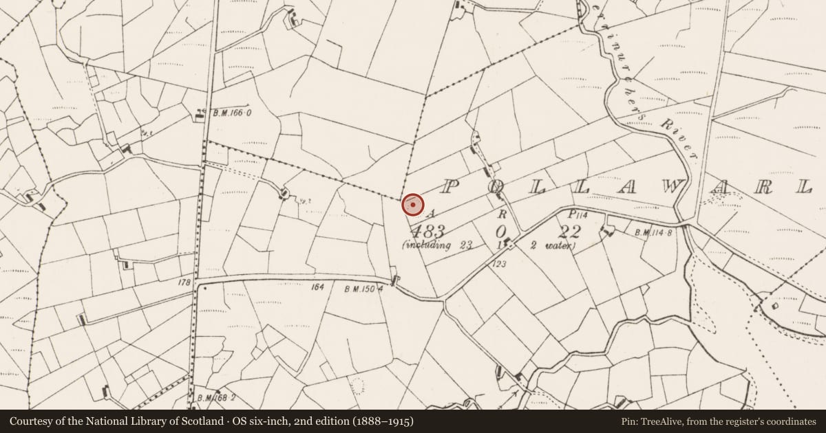 Ordnance Survey six-inch map, 2nd edition (1888–1915) covering the location of Ringfort - rath, Pollawarla, County Mayo, with a pin at the register's coordinates