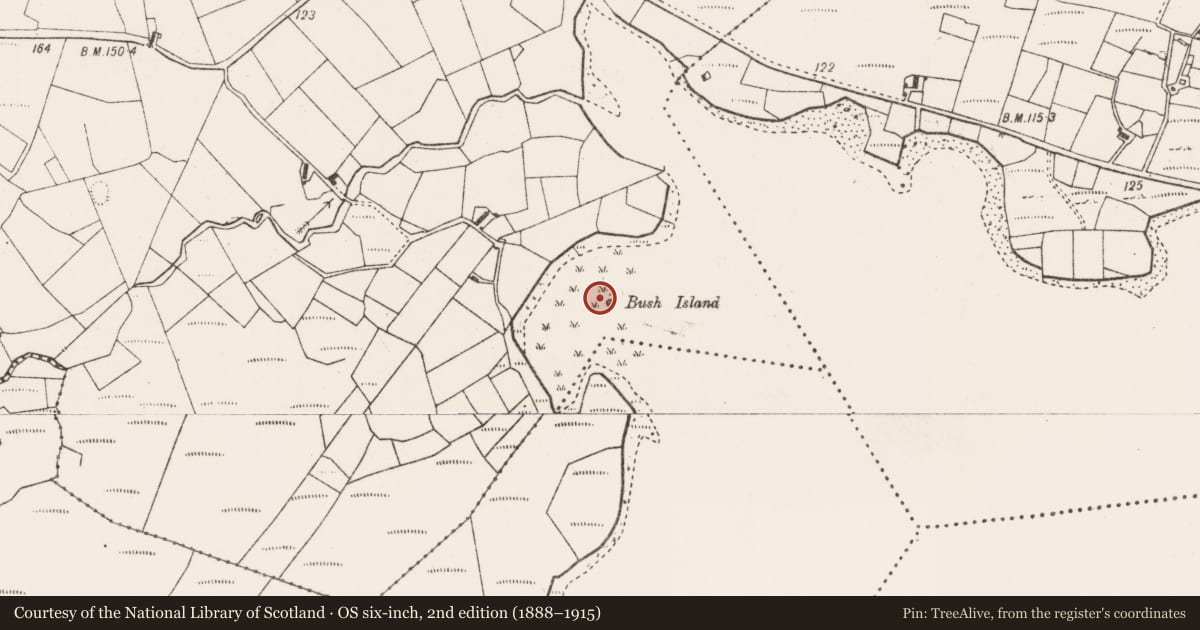 Ordnance Survey six-inch map, 2nd edition (1888–1915) covering the location of Crannog, Pollawarla, County Mayo, with a pin at the register's coordinates